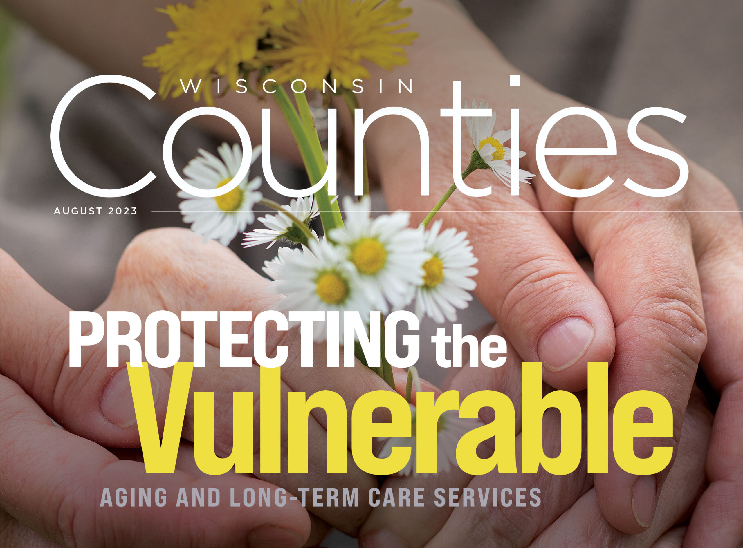 Protecting the Vulnerable: Aging and Long-Term Care Services