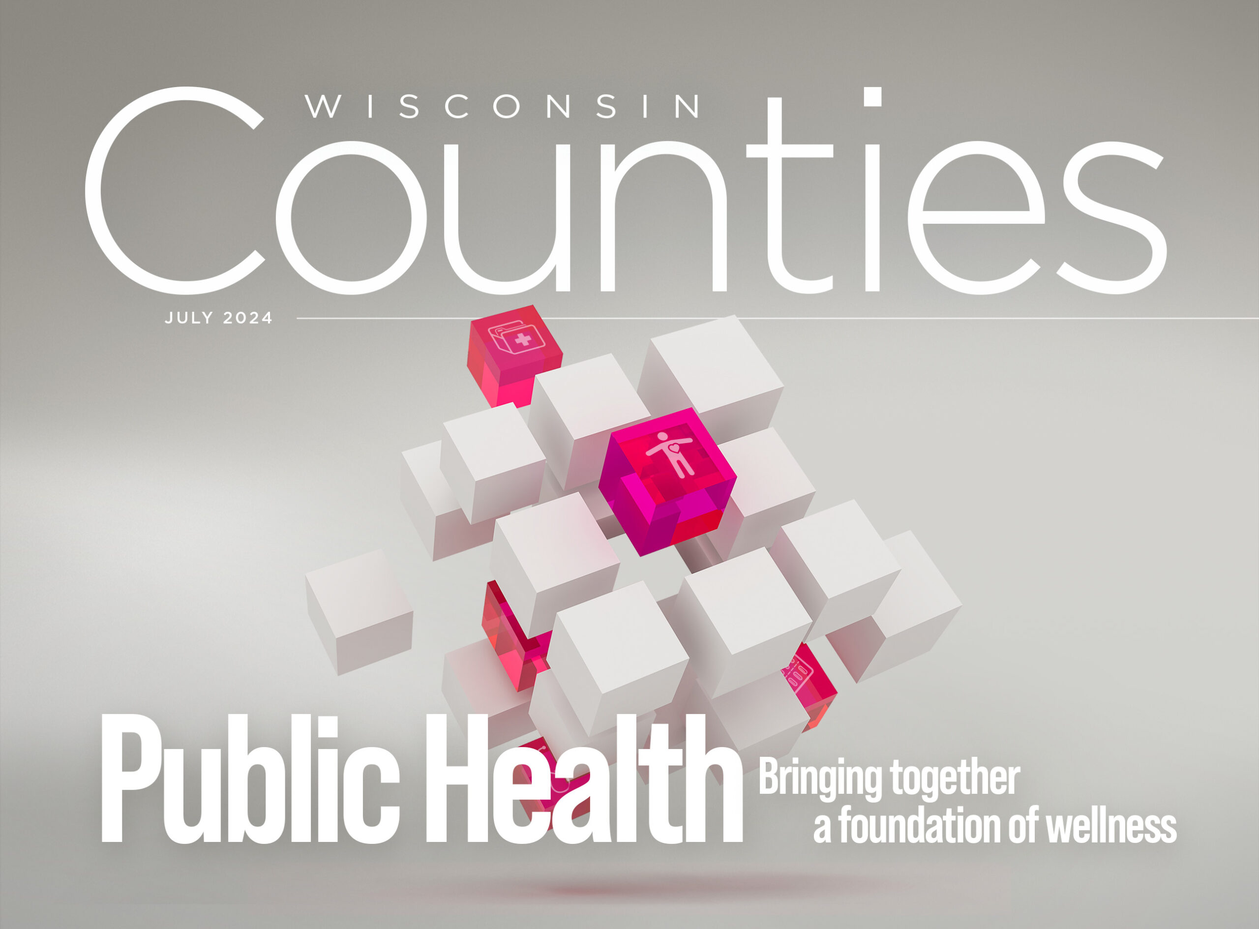 Public Health: Bringing Together a Foundation of Wellness